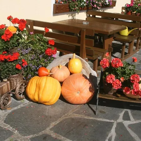 Daire Appartments Am Esslgut Haus im Ennstal