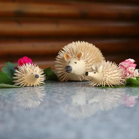 公寓 艾斯尔古特公寓酒店