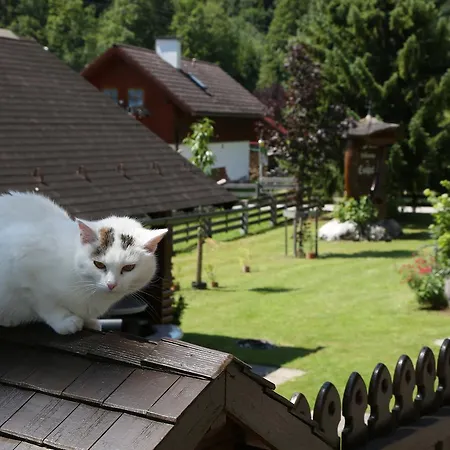 Appartments Am Esslgut *