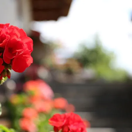 公寓 艾斯尔古特公寓酒店