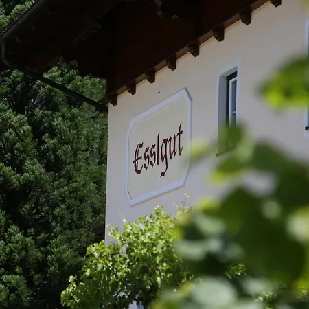 Appartments Am Esslgut *