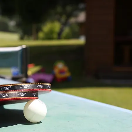 Appartments Am Esslgut Haus im Ennstal