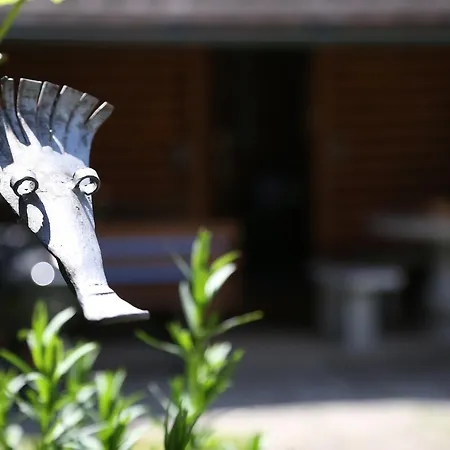 艾斯尔古特公寓酒店 *