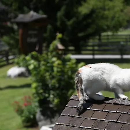 艾斯尔古特公寓酒店 公寓