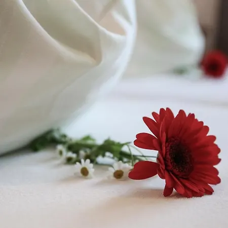 Appartments Am Esslgut * Haus im Ennstal