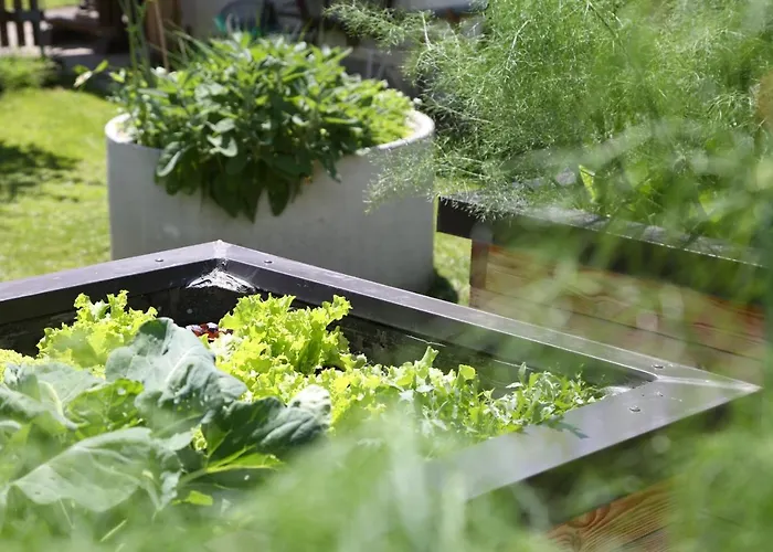 شقة Appartments Am Esslgut