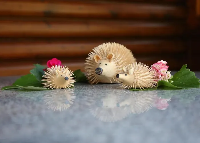 شقة Appartments Am Esslgut