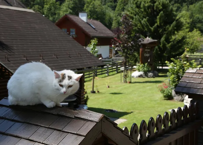 Appartments Am Esslgut *