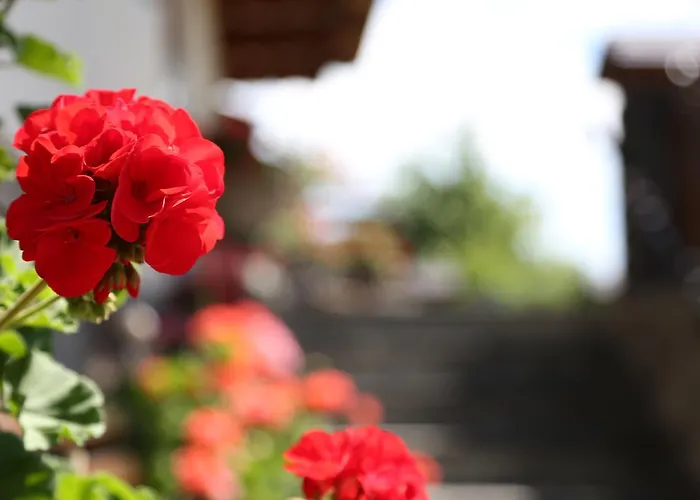 شقة Appartments Am Esslgut