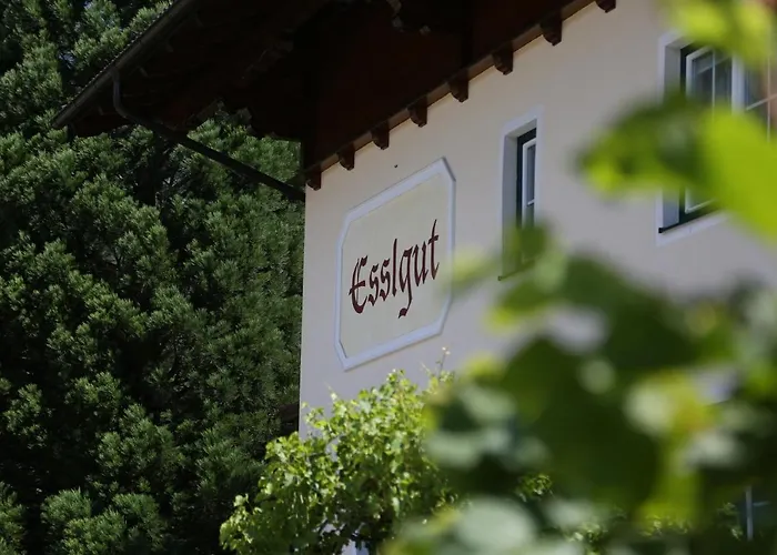 Appartments Am Esslgut *