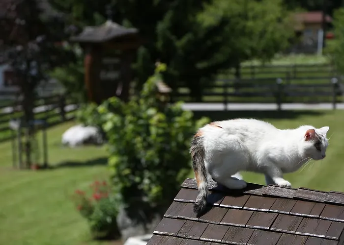 Appartments Am Esslgut شقة