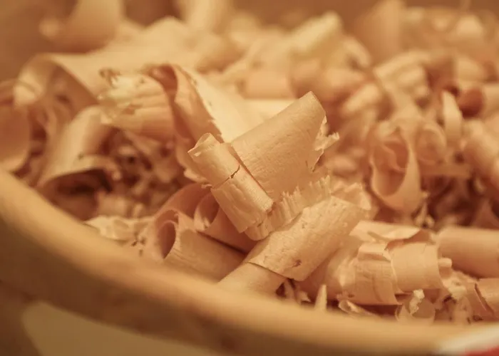 Appartments Am Esslgut * هاوس إم إنيستال