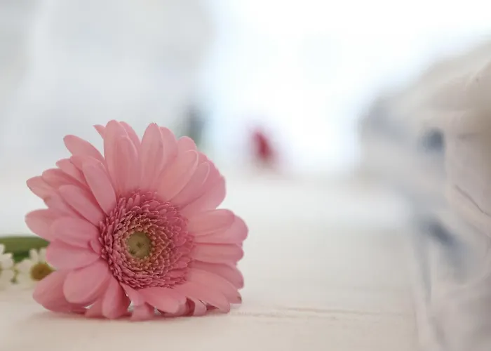 شقة Appartments Am Esslgut هاوس إم إنيستال